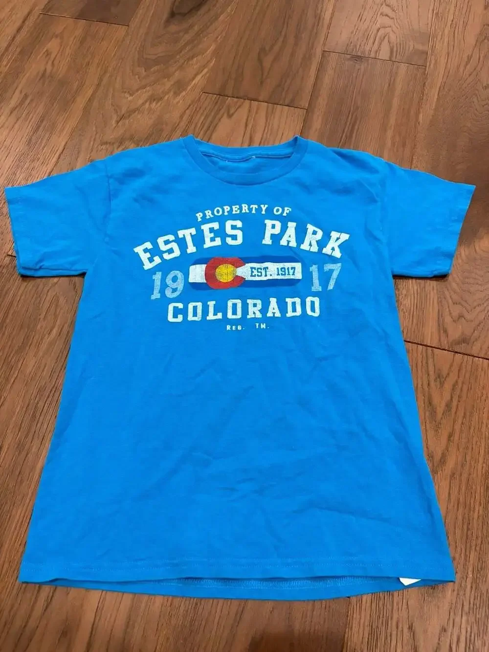 Estes Park Colorado Souvenir Graphic T-Shirt Blue
